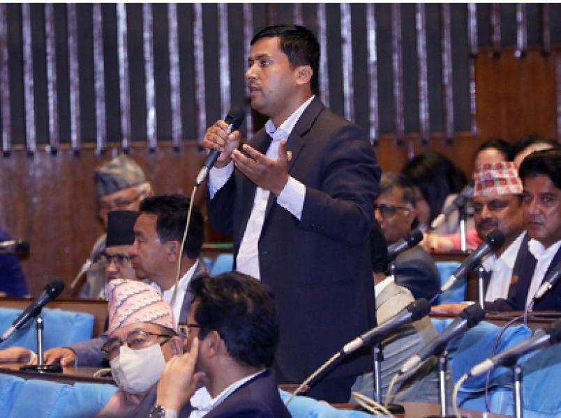 २०१५ सालदेखिका संसदीय गतिविधिलाई सर्वसाधारणले सजिलै भेट्ने गरी वेबसाइटमा राख्न बर्तौलाकाे माग