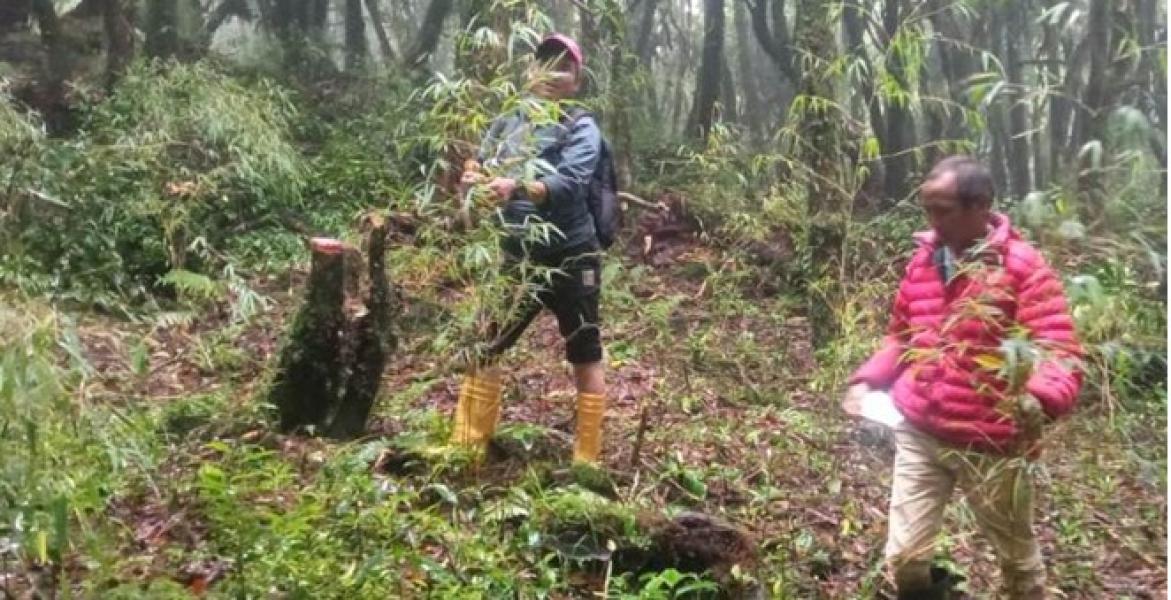 लोपोन्मुख ‘रेड पान्डा’को संरक्षण गर्न क्यामेरा जडान