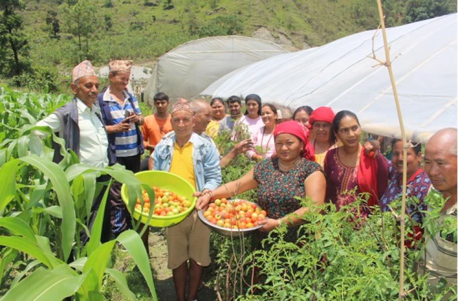 प्रभावकारी बन्दै कृषक पाठशाला:  विषादी औषधि होइन भन्ने वास्तविकता बुझ्दै किसान