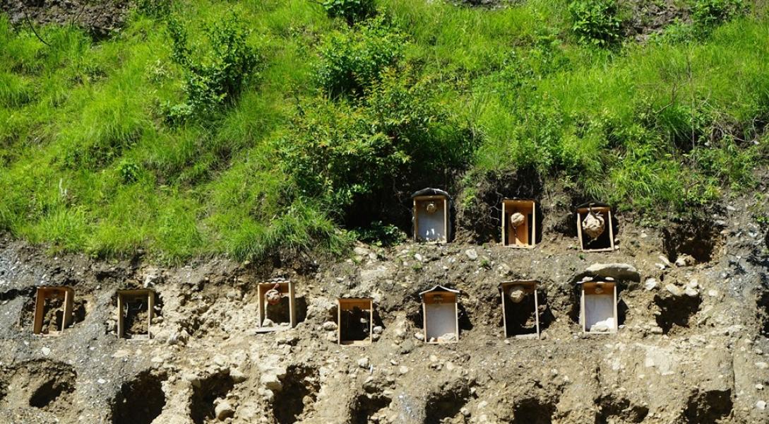 म्याग्दीमा व्यावसायिक अरिङ्गालपालन