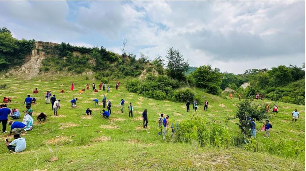 चुरेका नाङ्गा डाँडामा हरियाली अभियान