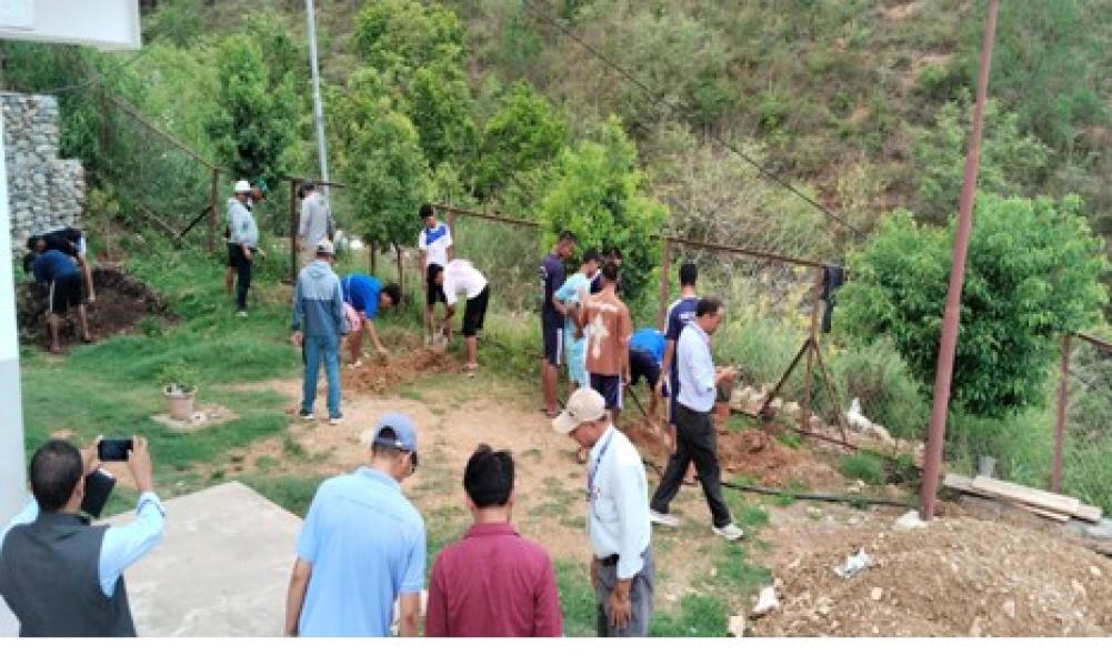 विद्यालयको आम्दानी बढाउन बुद्धचित्तको बिरुवा लगाइँदै