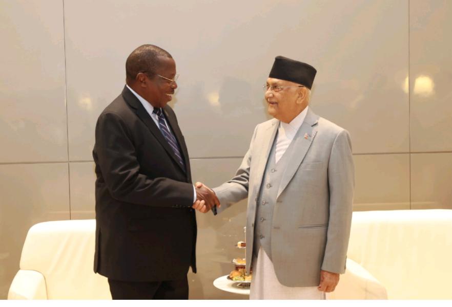 प्रधानमन्त्री ओली र तान्जानियाका उपराष्ट्रपति फिलिपबीच भेटवार्ता