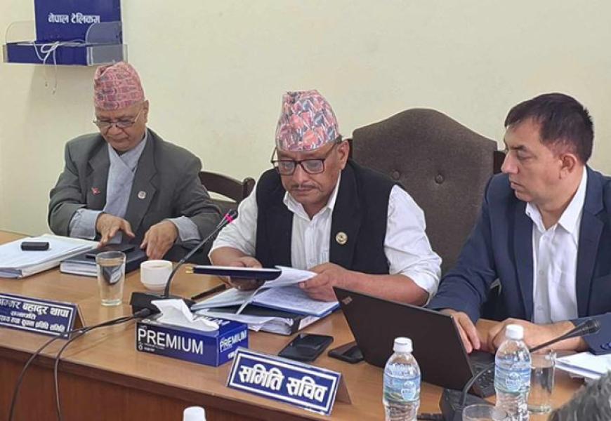 विद्यालय शिक्षकका लागि लाइसेन्स अनिवार्य, शिक्षा संकाय बाहेकका योग्यतामा पनि अवसर