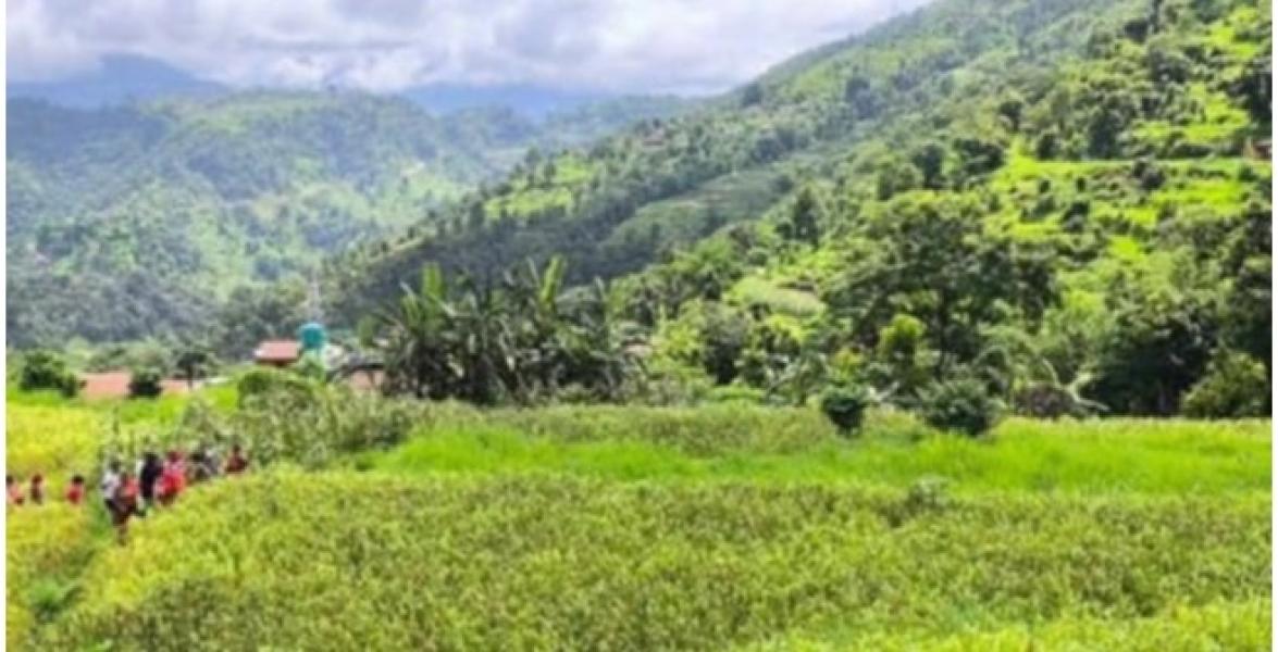 बाँदरको समस्याको विकल्पमा कागुनोखेती