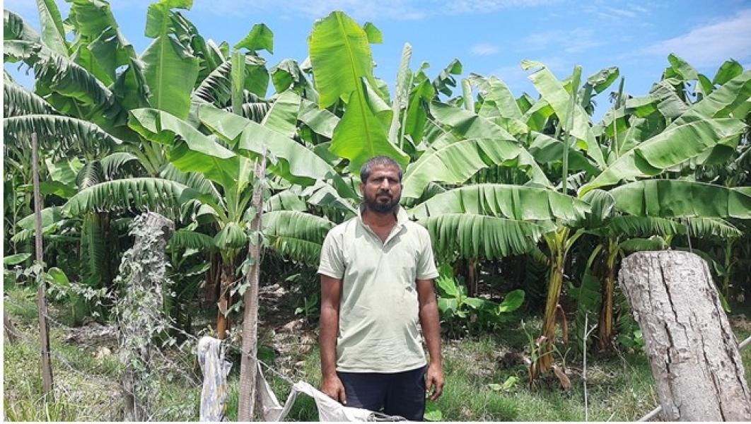 वैदेशिक रोजगारबाट फर्केर केराखेतीमा जमेका भण्डारी