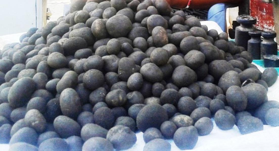 थारु समुदायको भान्सामा हराउँदै ‘फुटकी च्याउ’ को स्वाद