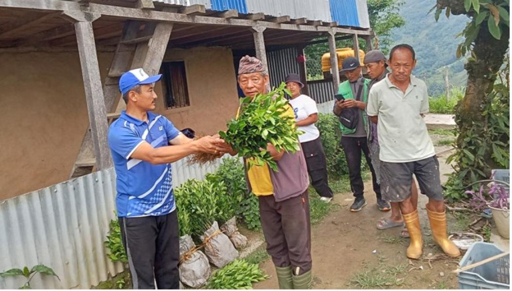 खावाको कृषि पकेट क्षेत्रमा सुन्तलाको विरुवा वितरण