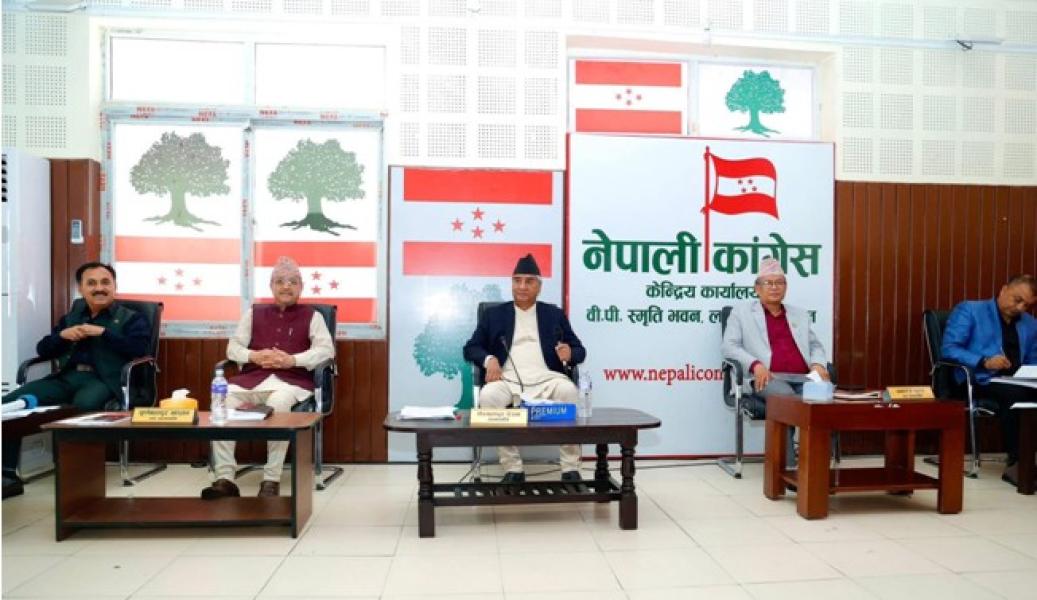 कांग्रेसले संविधान संशोधनका लागि कार्यदल गठन गर्ने