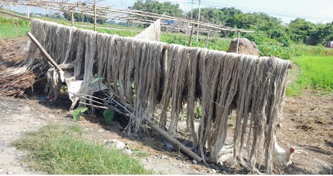 जुटले उचित मूल्य नपाउँदा किसान चिन्तित