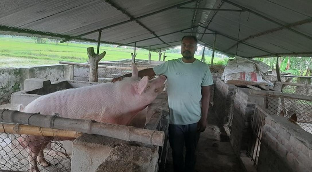 बङ्गुरका पाठापाठी बेचेर वार्षिक बाह्र लाख आम्दानी