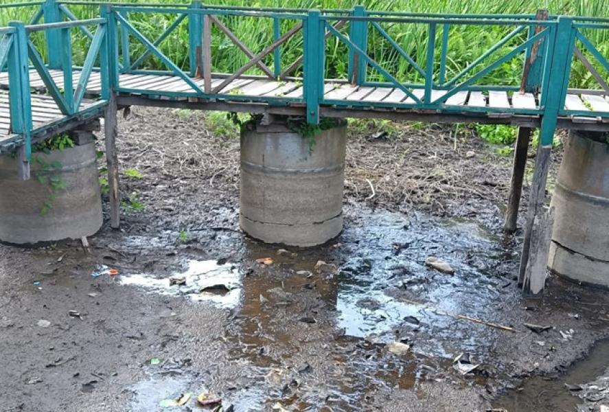 खडेरीले सुक्न थाल्यो बेतना सिमसार