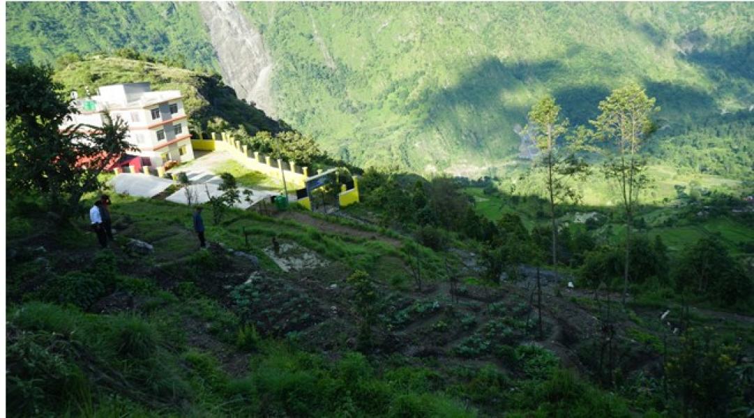 बाँझिएको पाखोबारीमा झाडी फाडेर तरकारी खेती