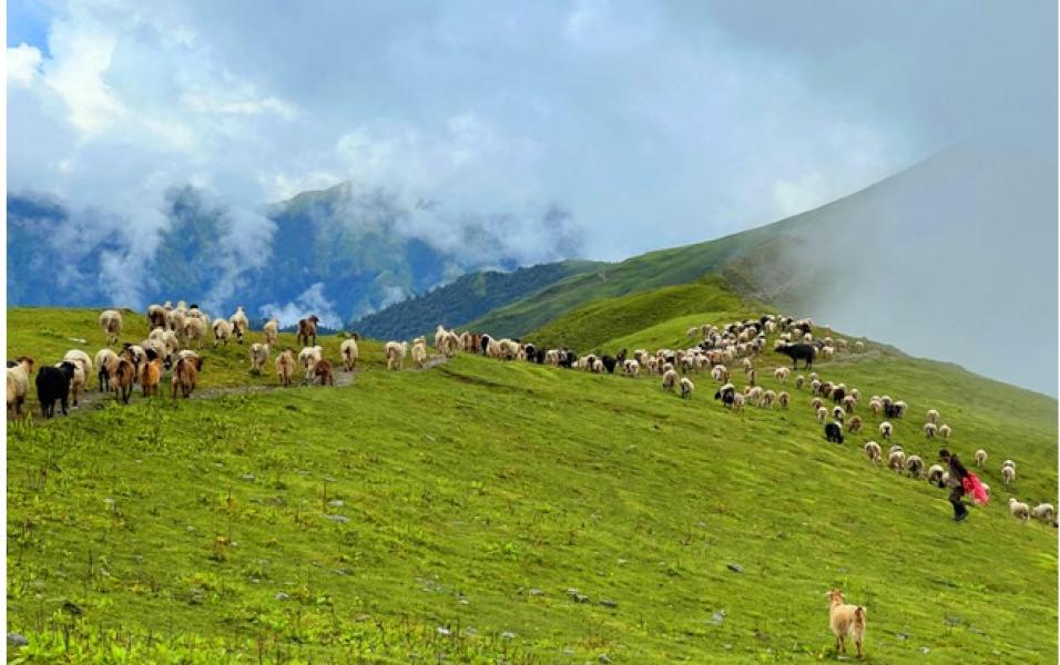 पदयात्रका लागि उत्कृष्ट गन्तव्य बन्दै ‘बुकीपाटन’