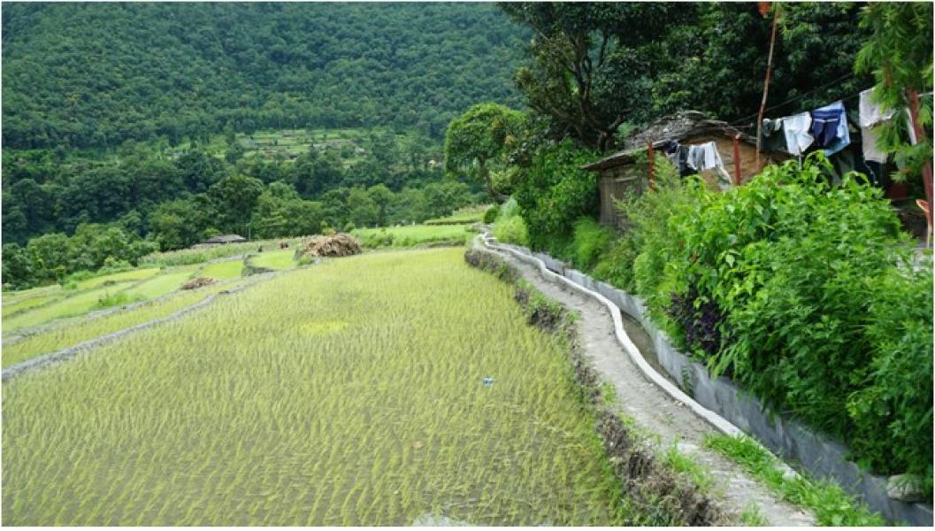 बाउन्न हेक्टरमा सिँचाइ सुविधा विस्तार