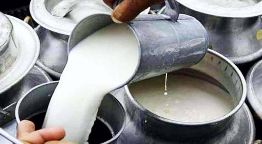 तनहुँका किसानलाई दूधमा अनुदानबापत रु ९७ लाख वितरण