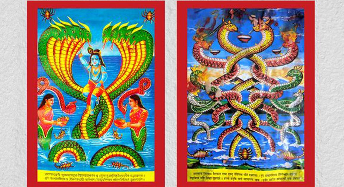 नागको पूजाआराधना गरी आज नागपञ्चमी पर्व मनाइँदै