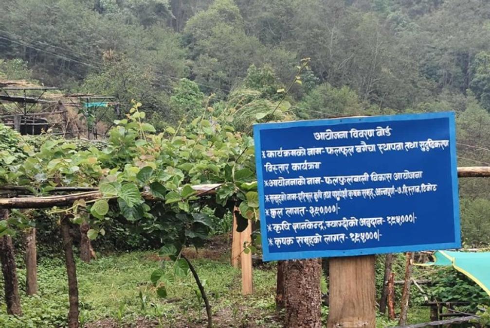 किसानलाई अनुदान