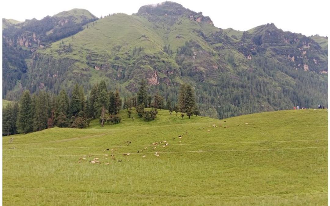 जुम्लाको धिमीचौर आन्तरिक पर्यटकीय गन्तव्य बन्दै