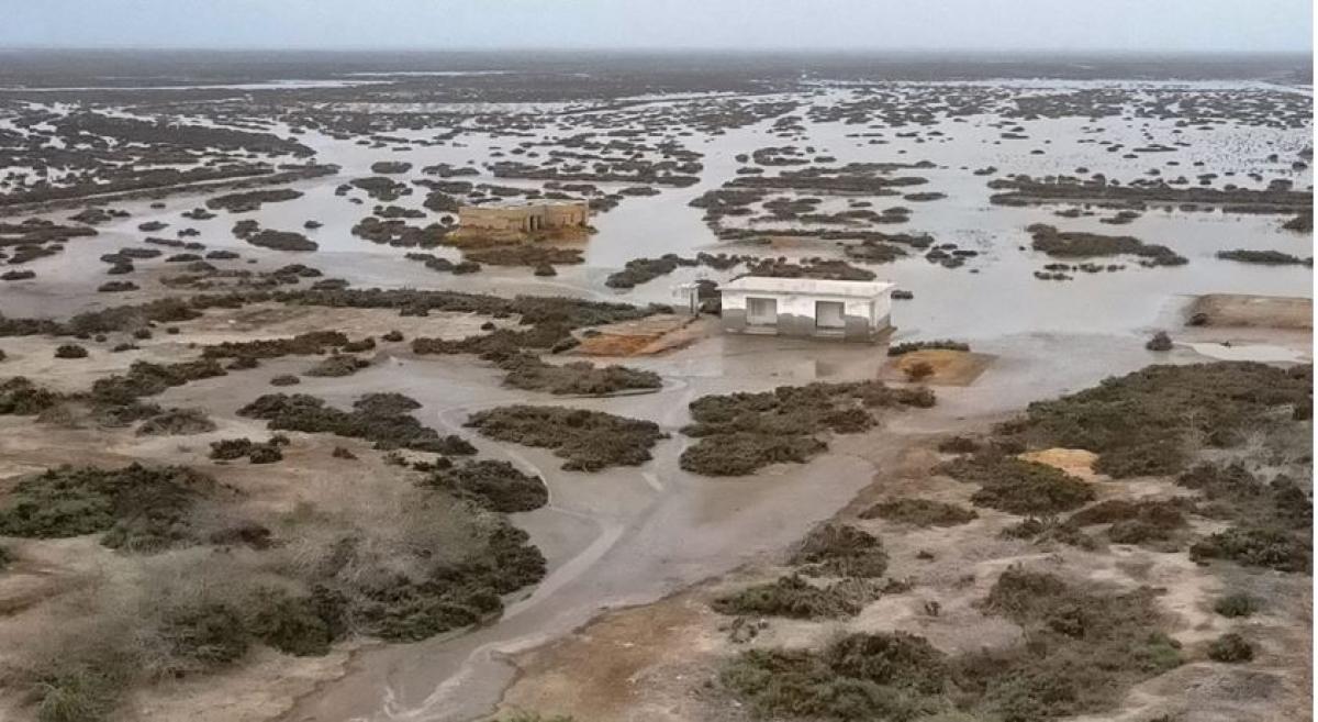 डेल्टाको मृत्युः पाकिस्तानको सिन्धु डुब्दै र सङ्कुचित हुँदै