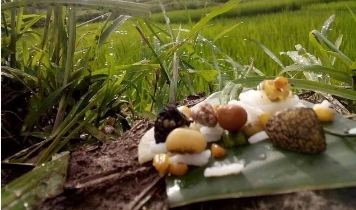 प्राकृतिक देवता मान्दै भ्यागुतालाई भात