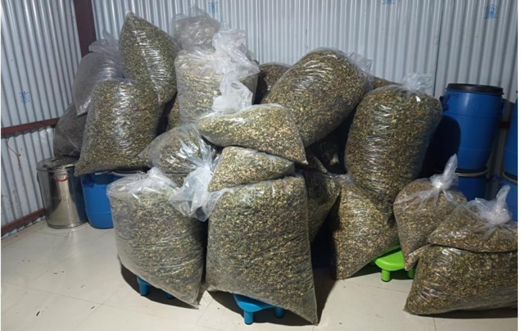 भानु नगरपालिकाले गुन्द्रुक ब्राण्डिङ गर्ने