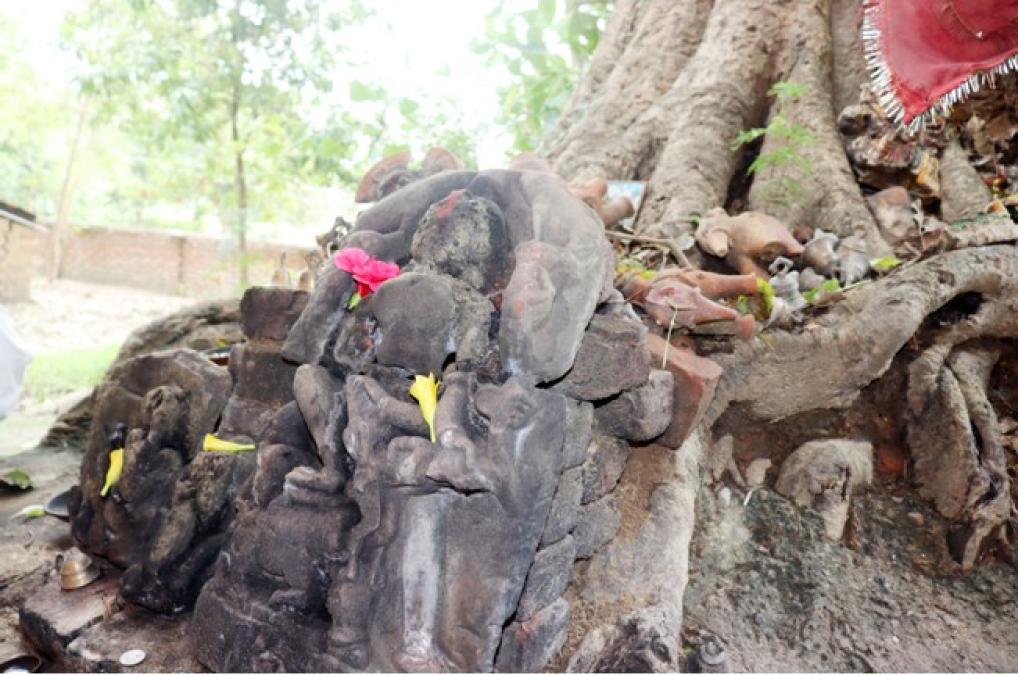 ओझेलमा बुद्धको मावली, मर्चवार नै ऐतिहासिक ‘देवदह’