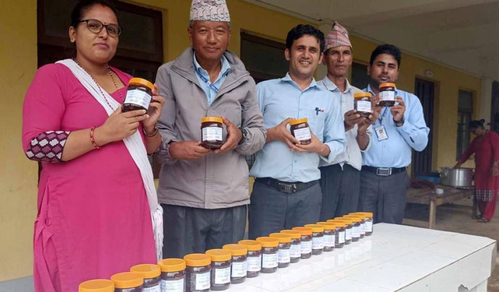 विद्यालयमा लप्सीको अचार बनाउन सिकाइँदै