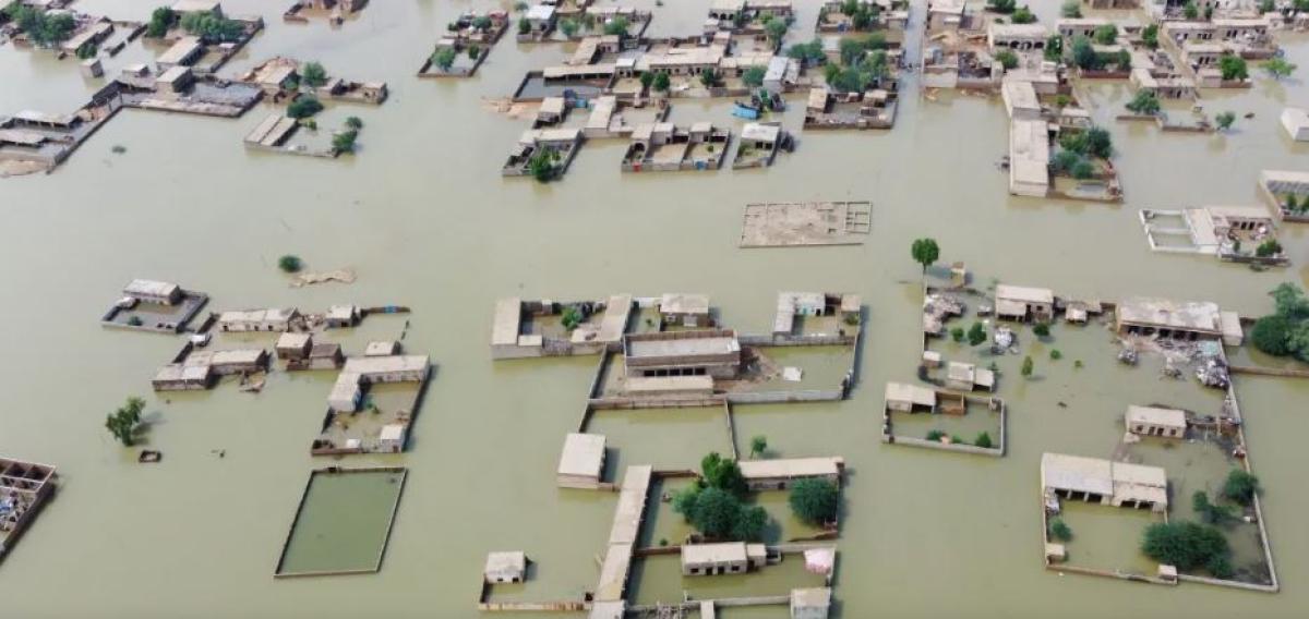 पाकिस्तानको पञ्जाबमा बाढीबाट ४२ लाख मानिस प्रभावित