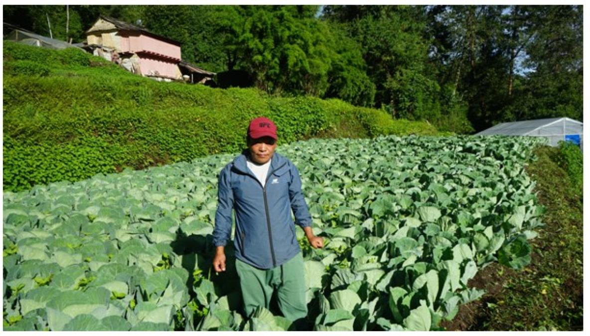 अहिलेसम्म टिकोटमा रासायनिक मल   भित्रिएको छैन’