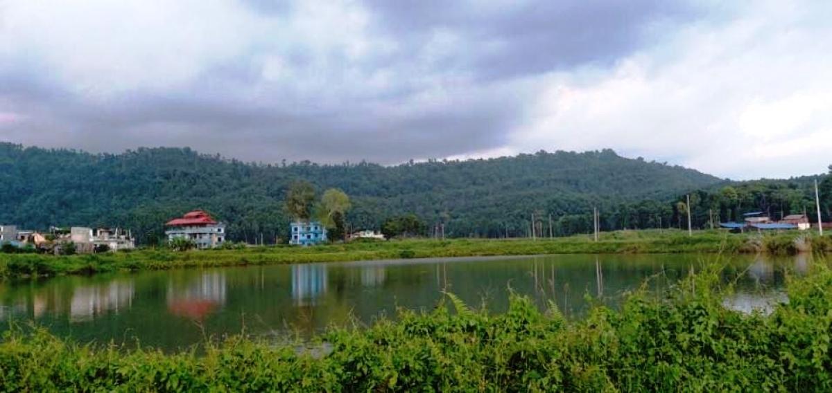 मत्स्यकेन्द्रको १३ बिघा जग्गा अतिक्रमणमा पर्दा माछापालनमा समस्या