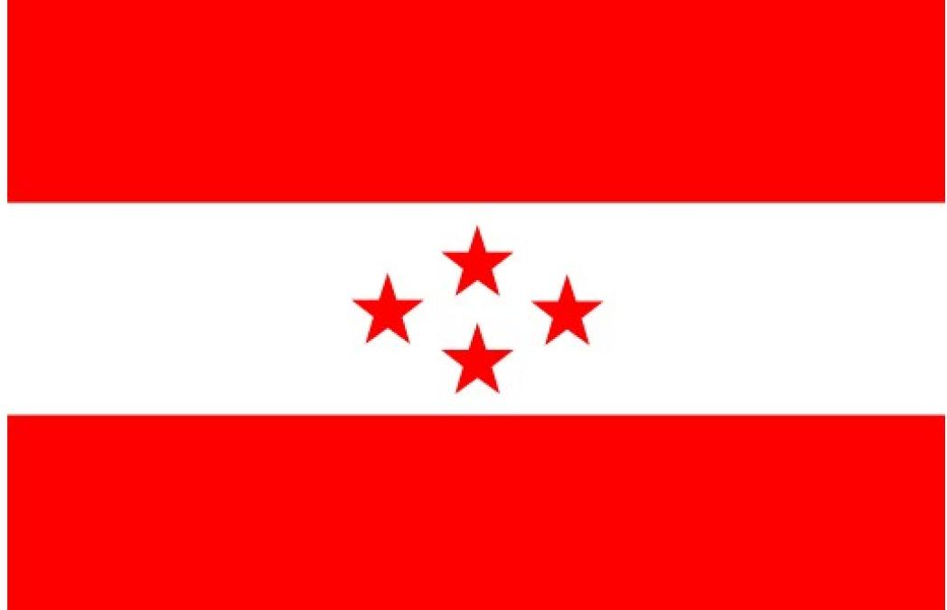 आज कांग्रेस केन्द्रीय कार्यसमिति बैठक बस्दै