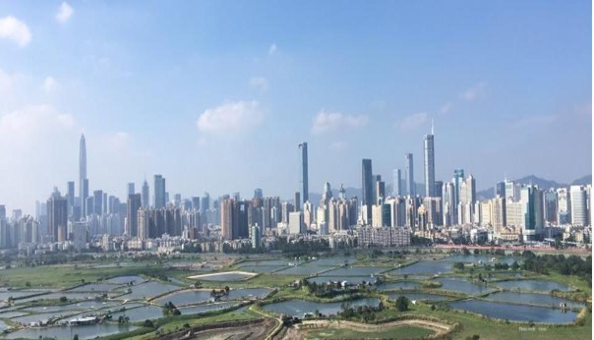 आज विश्व सहरीकरण दिवस