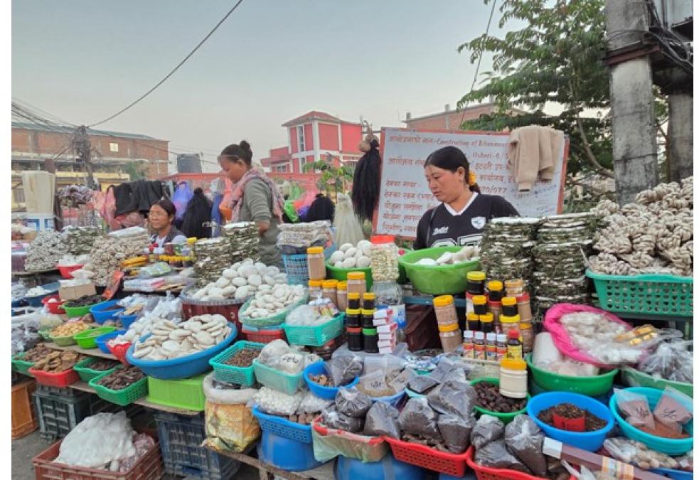 चिसो पहाडबाट झरेर तराईमा जडीबुटी व्यावसाय