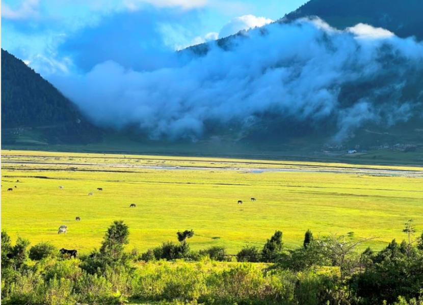 ढोरपाटन उपत्यका’