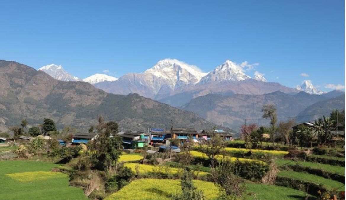 बेनीको तोरीपानीमा सयपत्री ‘होमस्टे’ सञ्चालन