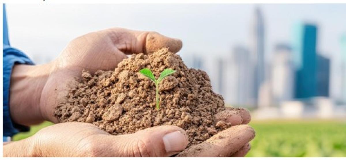 आज अन्तरराष्ट्रिय स्वयंसेवक दिवस, विश्व माटो दिवस पनि आजै