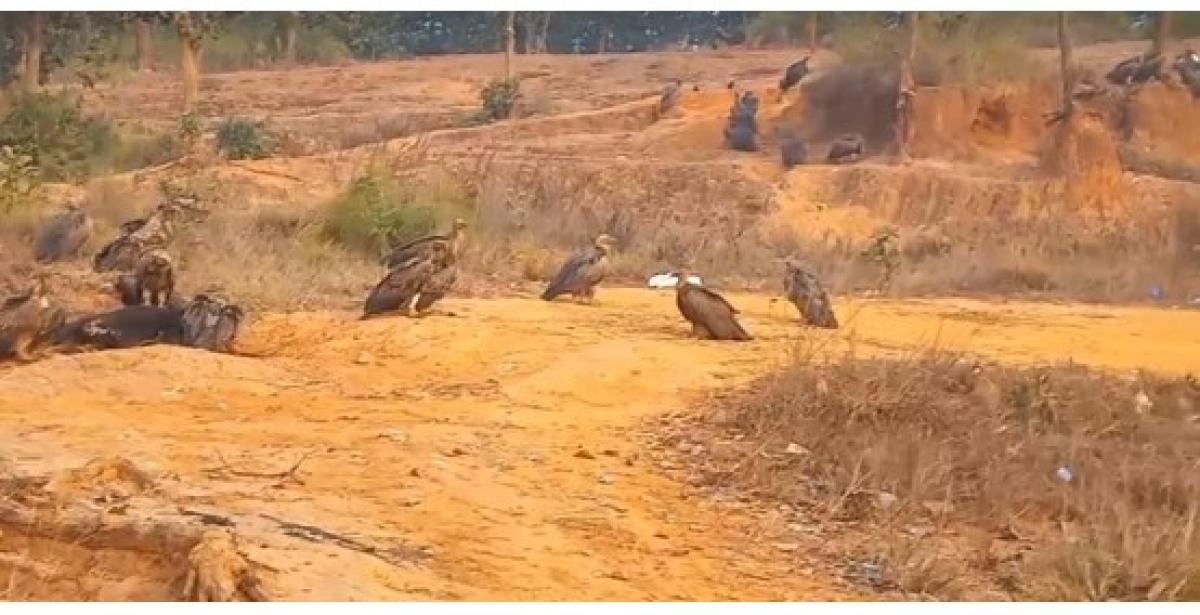 बर्दिबासको पर्यावरणबारे बढ्दै चासो