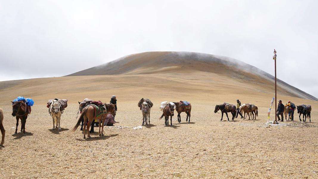 बार्सेडाँडा