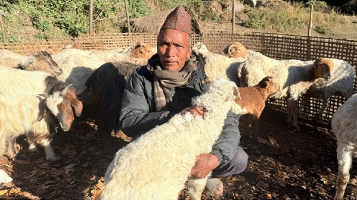 भेडागोठमा पाँच दशक बिताएका नरेन्द्रलाई पढ्न नपाएकामा पछुतो