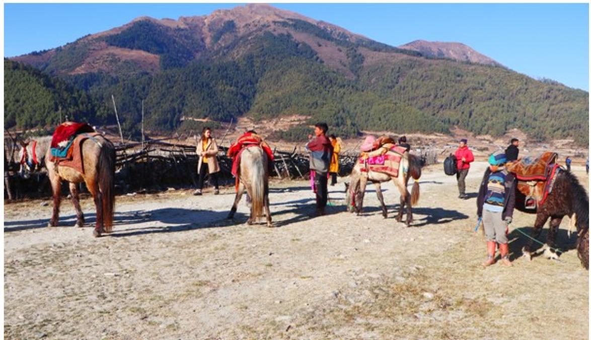 चिसो याममा पनि ढोरपाटनमा पर्यटकको चहलपहल