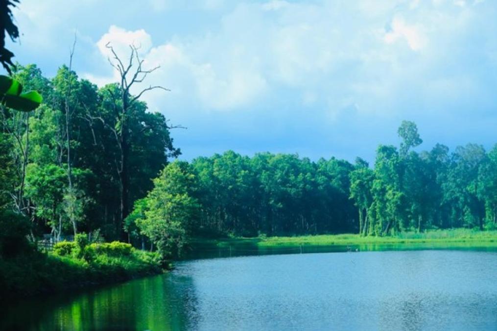 पर्यटकको रोजाइमा वेतना सिमसार