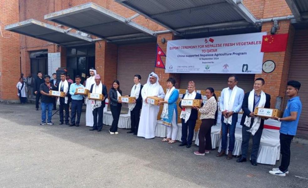 दक्षिणकालीको टाटेसिमी र अकबरे खुर्सानी कतारमा