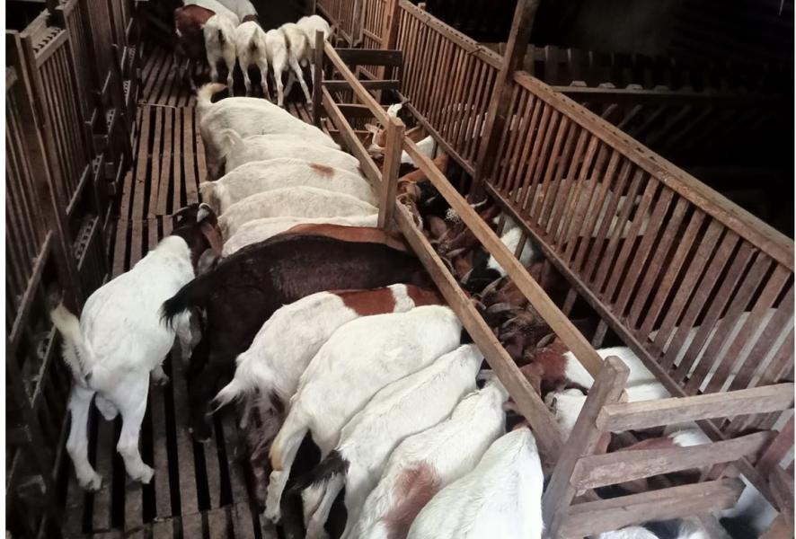 कृषि कर्मबाट मासिक डेढ लाख आम्दानी