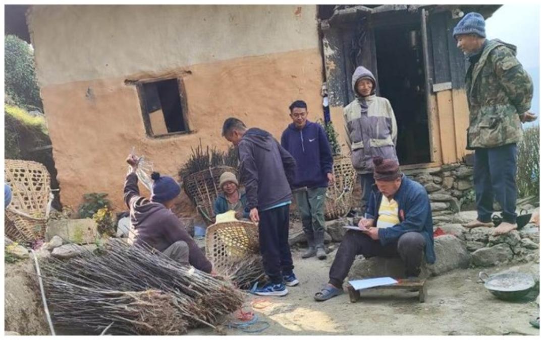 व्यावसायिक स्याउ खेती सुरु गर्दै वैकुण्ठेका किसान