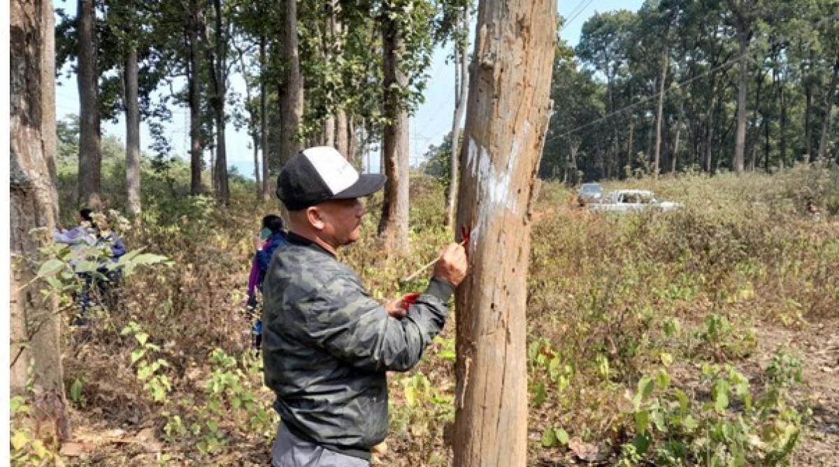 तनहुँ जलविद्युत् आयोजनाः प्रसारण लाइन निर्माणका लागि रुख छपान सुरु